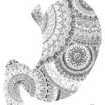 Artistic representation of a stylized human stomach, blending anatomy and symbolic elements. Textures and contrasts highlight bodily vulnerability and the emotional dimension associated with internal organs.