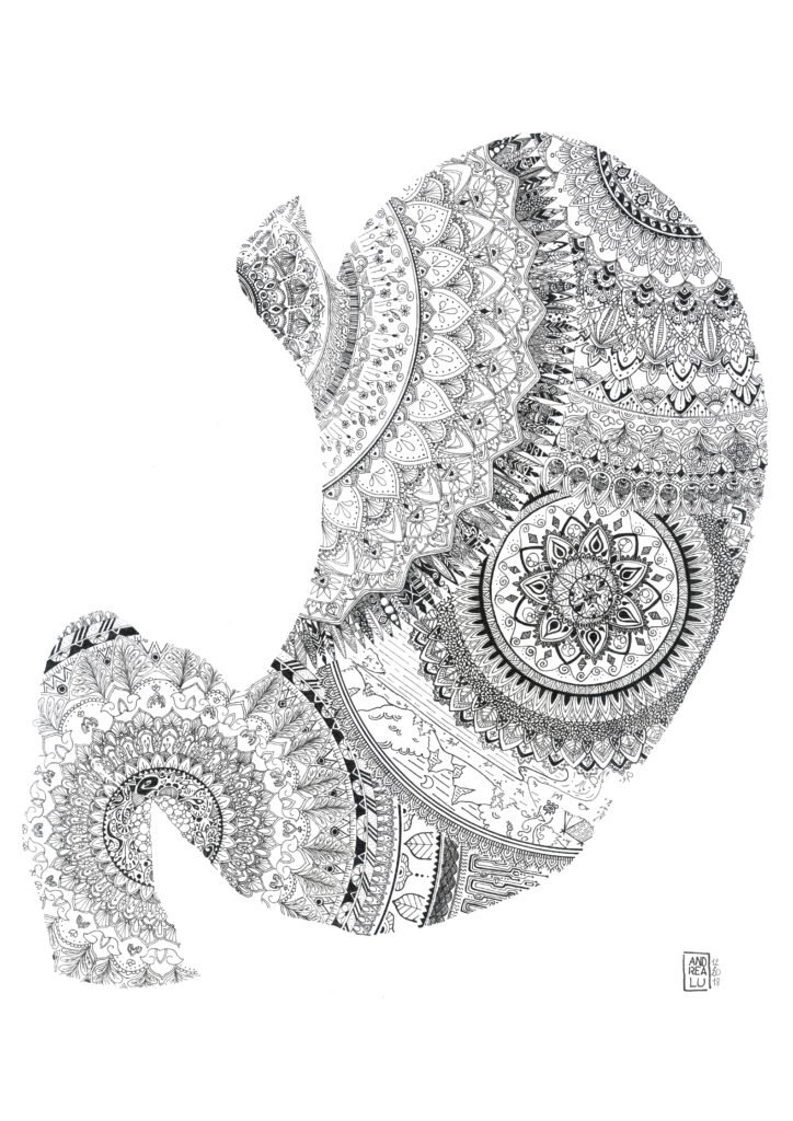 Artistic representation of a stylized human stomach, blending anatomy and symbolic elements. Textures and contrasts highlight bodily vulnerability and the emotional dimension associated with internal organs.