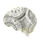 Fragmented human brain with cracks highlighted in gold lines inspired by Japanese kintsugi. The contrast between dark material and luminous veins emphasizes healing and the beauty of scars.